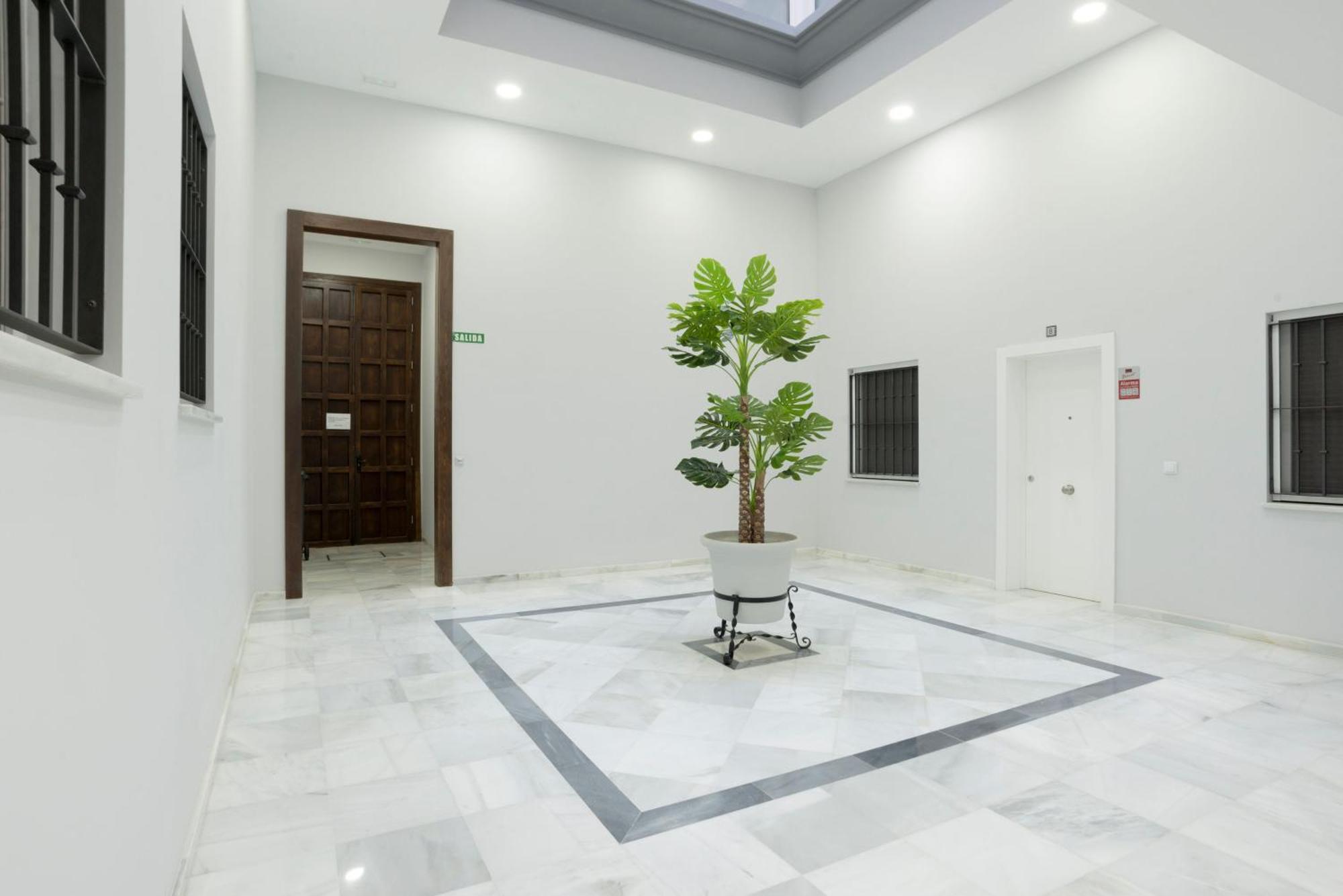 Apartamento Centro Deluxe كاديز المظهر الخارجي الصورة